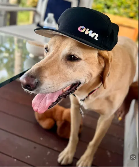 Own Trucker Hat – Customizable - foto 8